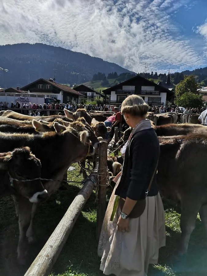 Ferienwohnung Alpenherz Obermaiselstein 0*,  Germany