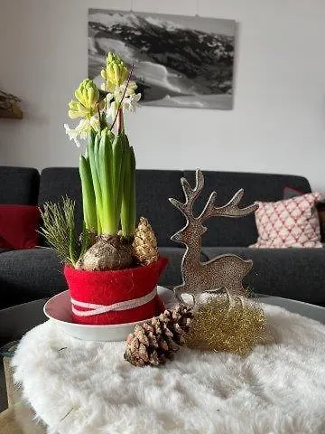 Ferienwohnung Alpenherz Obermaiselstein 0*,